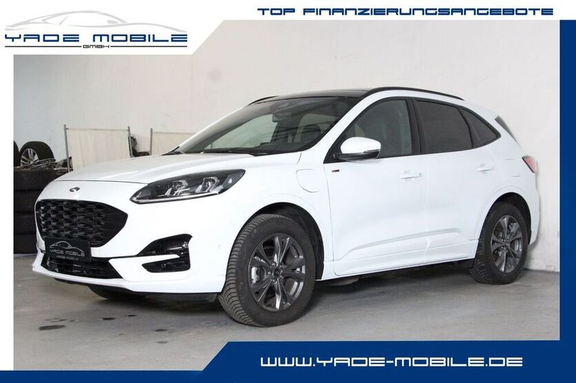 Kuga