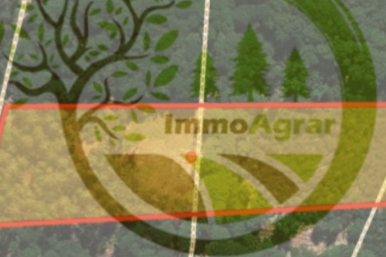 Grundstück in Wald-Michelbach 25.000 € 11569 m² zimmer