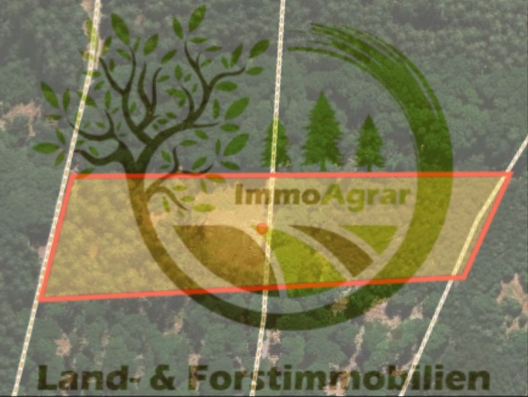 Grundstück in Wald-Michelbach 25.000 € 11569 m² zimmer