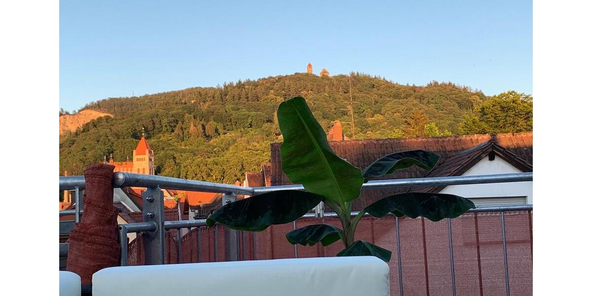 Etagenwohnung Weinheim - 4 Zimmer, 150 m&sup2;, 675.000&euro; | Angebot:27086696