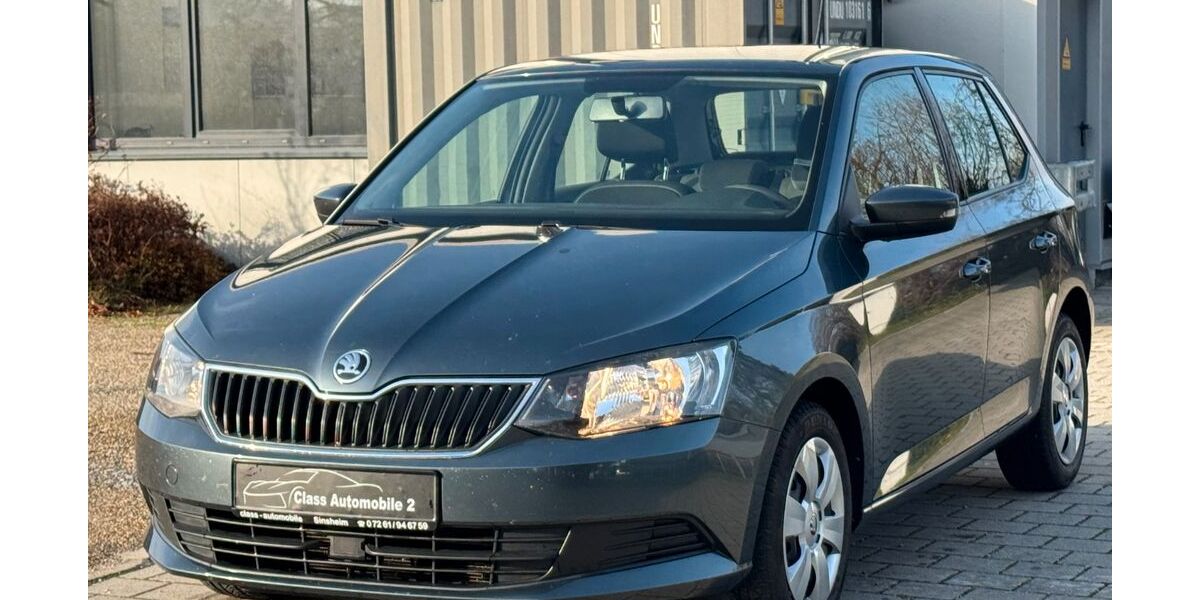 Skoda Fabia 128.493 km 7.990 &euro; Zuzenhausen 74939