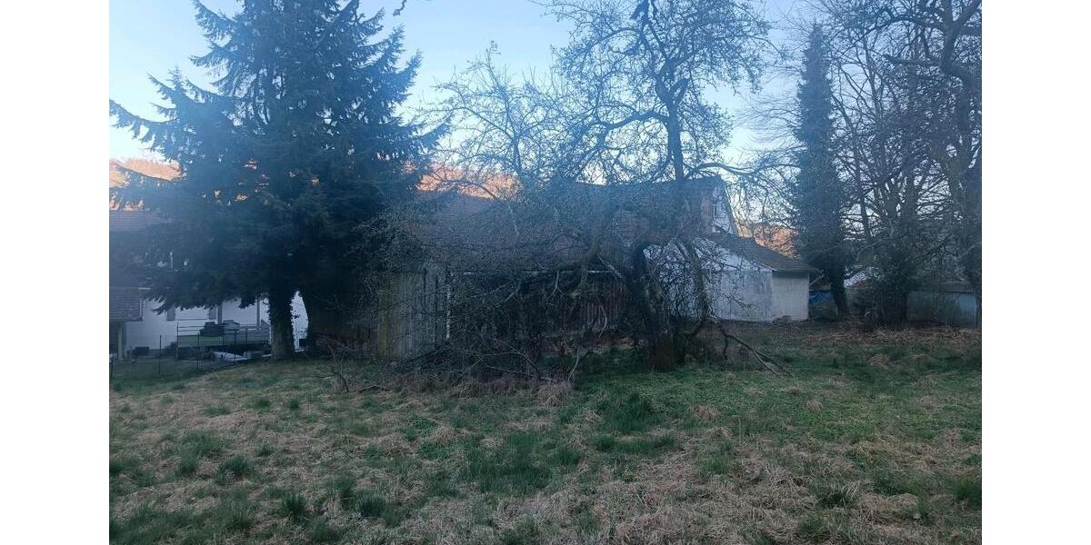 Bauernhaus, Landhaus Oberzent - 1 Zimmer, 123 m&sup2;, 125.000&euro; | Angebot:26891223