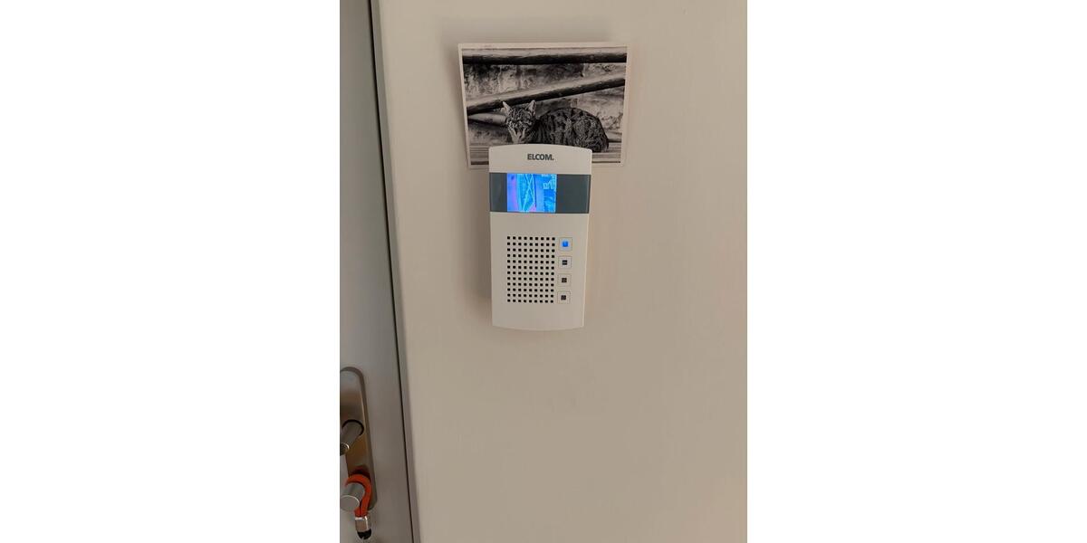 Etagenwohnung Ludwigshafen am Rhein Ludwigshafen-Hemshof - 3 Zimmer, 70 m&sup2;, 1.100&euro; | Angebot:26301569