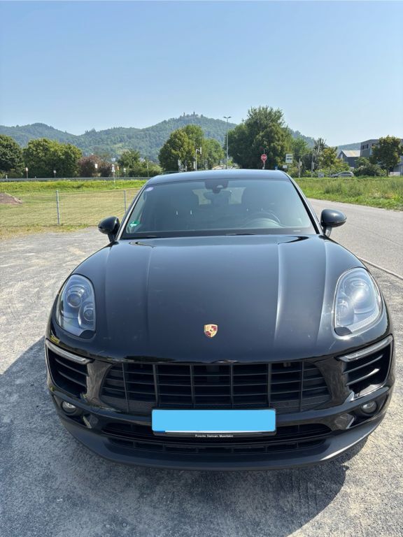 Macan