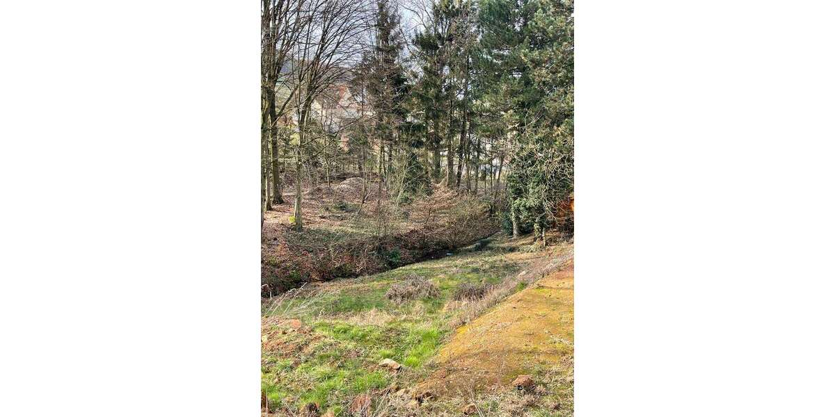 Grundstück zu verkaufen in Birkenau-Löhrbach 325.000 € 1167 m² zimmer