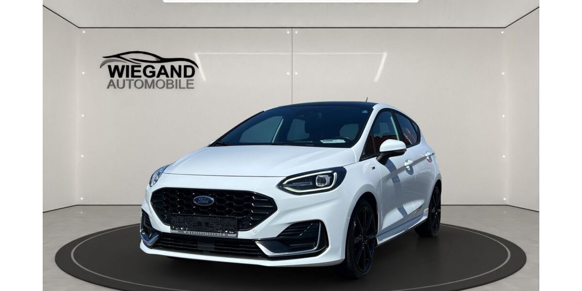 Ford Fiesta 37.400 km 19.890 &euro; Viernheim 68519