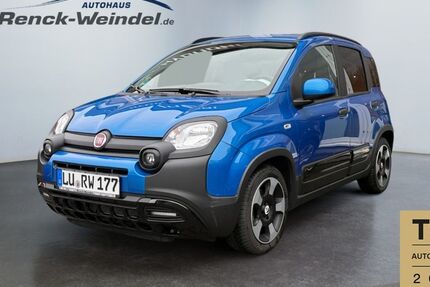 Fiat Panda 3.023 km 18.989 &euro; Speyer 67346