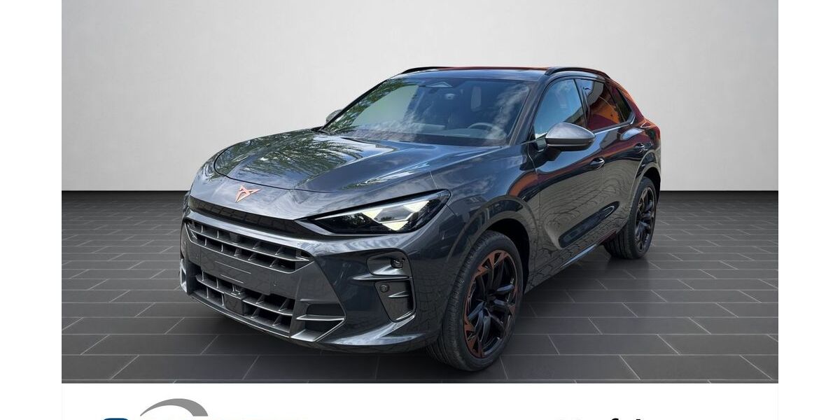 Cupra Terramar 5.900 km 42.990 &euro; Heidelberg 69123