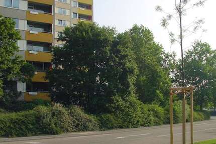 Wohnung zum Kaufen in Ludwigshafen am Rhein 179.500 € 79.66 m² 3 zimmer