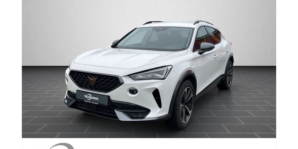 Cupra Formentor 57.434 km 23.990 &euro; Heidelberg 69123