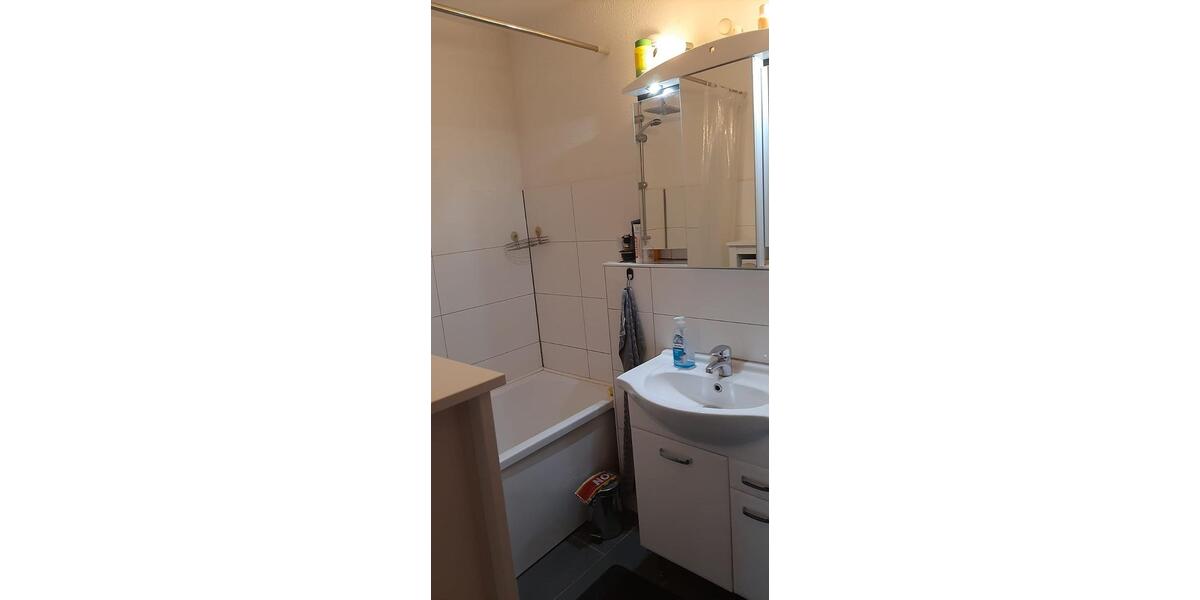 Dachgeschoßwohnung Frankenthal (Pfalz) - 2 Zimmer, 64 m&sup2;, 595&euro; | Angebot:26492664
