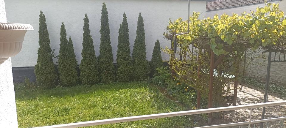 Bungalow Dannstadt-Schauernheim Schauernheim - 12 Zimmer, 400 m&sup2;, 729.000&euro; | Angebot:26153799