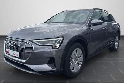 Audi e-tron 45.792 km 24.400 &euro; Ludwigshafen 67063