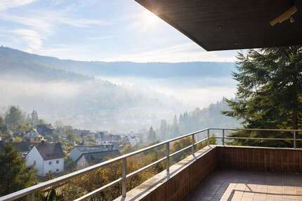 Haus Heidelberg Peterstal - 6 Zimmer, 220 m&sup2;, 695.000&euro; | Angebot:24276560