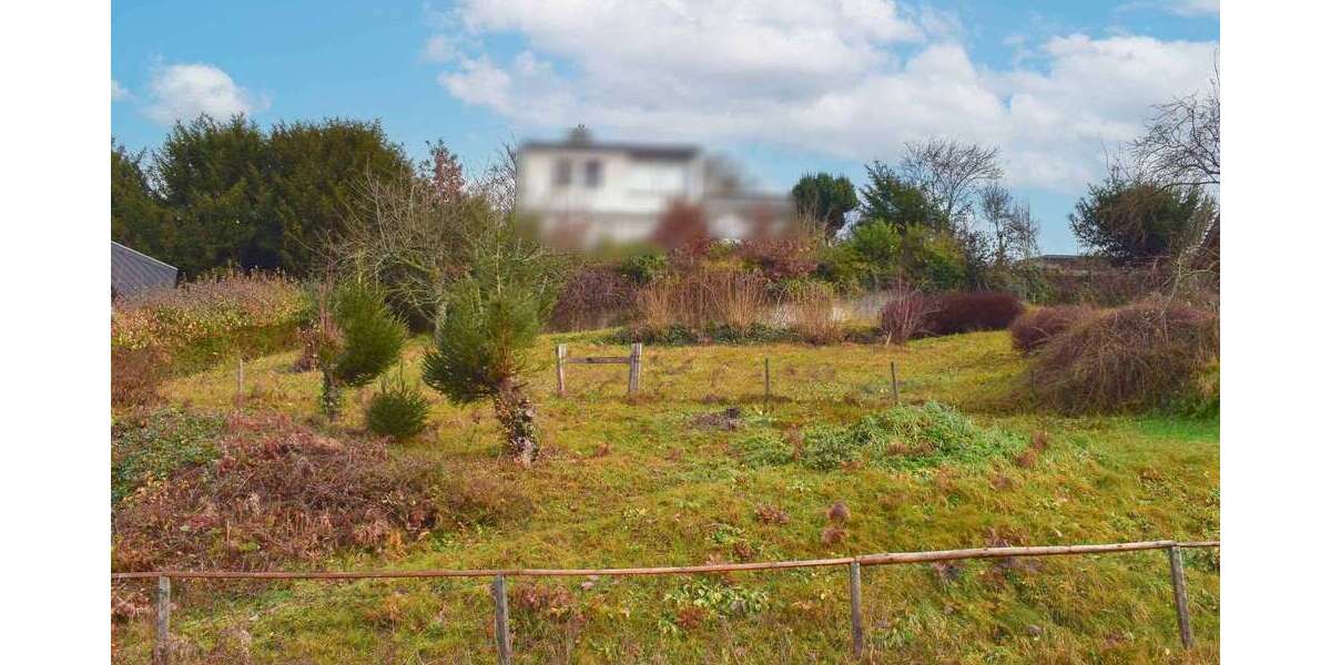 Grundstück Schönau - 75.000&euro; | Angebot:25325798