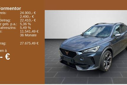 Cupra Formentor 95.124 km 24.200 &euro; Heidelberg 69123