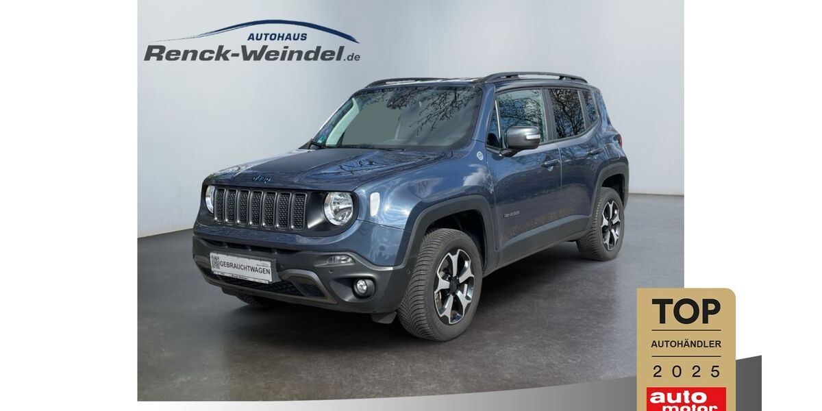 Jeep Renegade 52.000 km 25.489 &euro; Speyer 67346
