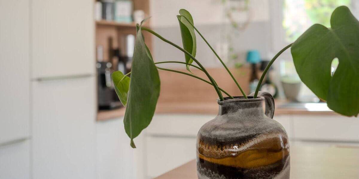 Einfamilienhaus Mannheim / Neuostheim/Neuhermsheim Neuhermsheim - 7 Zimmer, 264 m&sup2;, 1.090.000&euro; | Angebot:26891675