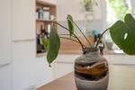 Einfamilienhaus Mannheim / Neuostheim/Neuhermsheim Neuhermsheim - 7 Zimmer, 264 m&sup2;, 1.090.000&euro; | Angebot:26891675