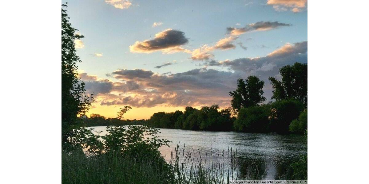 Mehrfamilienhaus, Wohnhaus Edingen-Neckarhausen Edingen - 1 Zimmer, 287 m&sup2;, 595.000&euro; | Angebot:25734336