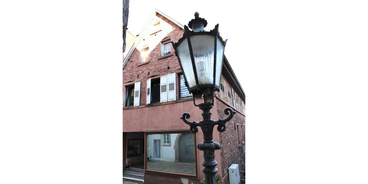 Mehrfamilienhaus, Wohnhaus Hirschhorn - 1 Zimmer, 285 m&sup2;, 480.000&euro; | Angebot:25678574