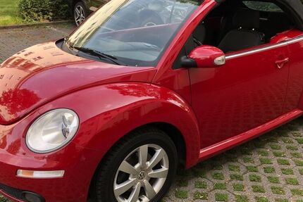 VW Beetle