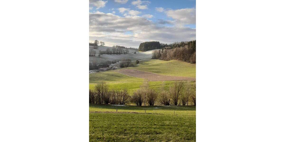 Mehrfamilienhaus, Wohnhaus Wald-Michelbach Gadern - 2 Zimmer, 576 m&sup2;, 695.000&euro; | Angebot:24874573