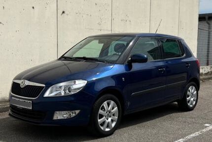 Skoda Fabia 96.500 km 5.700 € Mannheim 68239