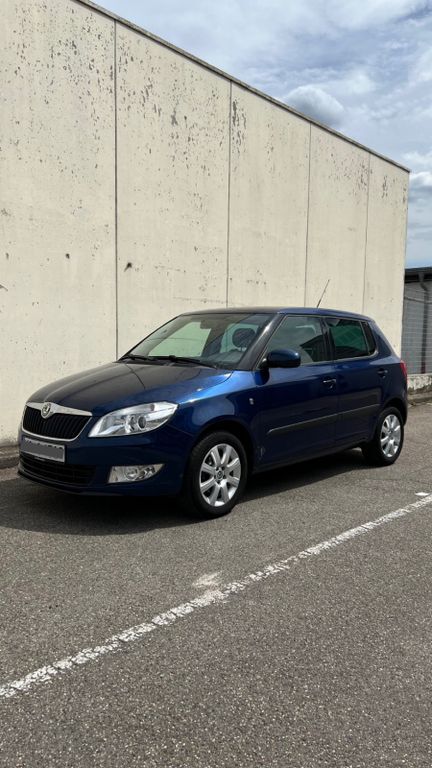 Skoda Fabia 96.500 km 5.700 € Mannheim 68239
