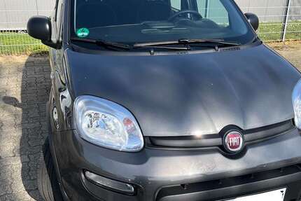 Fiat Panda 19.999 km 10.400 &euro; Heiligkreuzsteinach 69253