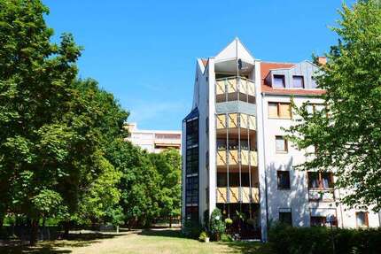 Wohnung Frankenthal (Pfalz) Frankenthal Kernstadt - 2 Zimmer, 65 m&sup2;, 513&euro; | Angebot:26729485