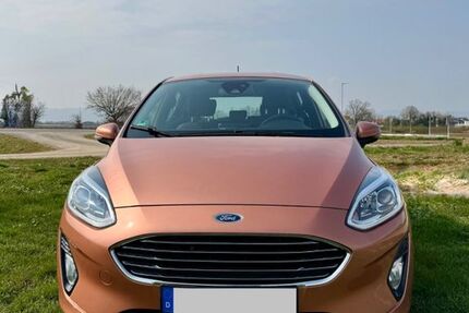 Ford Fiesta 100.605 km 8.300 &euro; Böhl-Iggelheim 67459