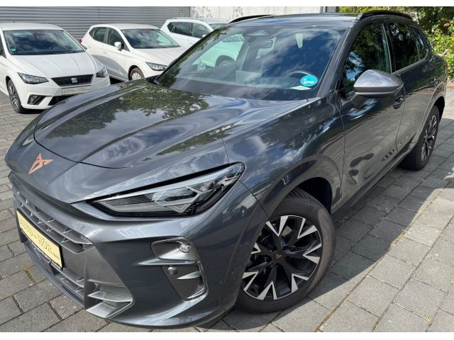 Cupra Terramar 26.016 km 34.950 &euro; Weinheim 69469