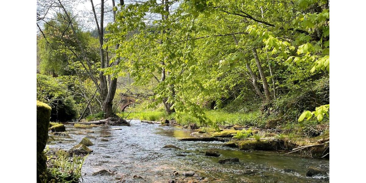 Etagenwohnung Ludwigshafen am Rhein Mundenheim - 1 Zimmer, 650&euro; | Angebot:21673261