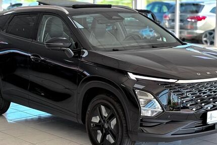  andere 5 EV 10.000 km 21.990 &euro; Speyer 67346