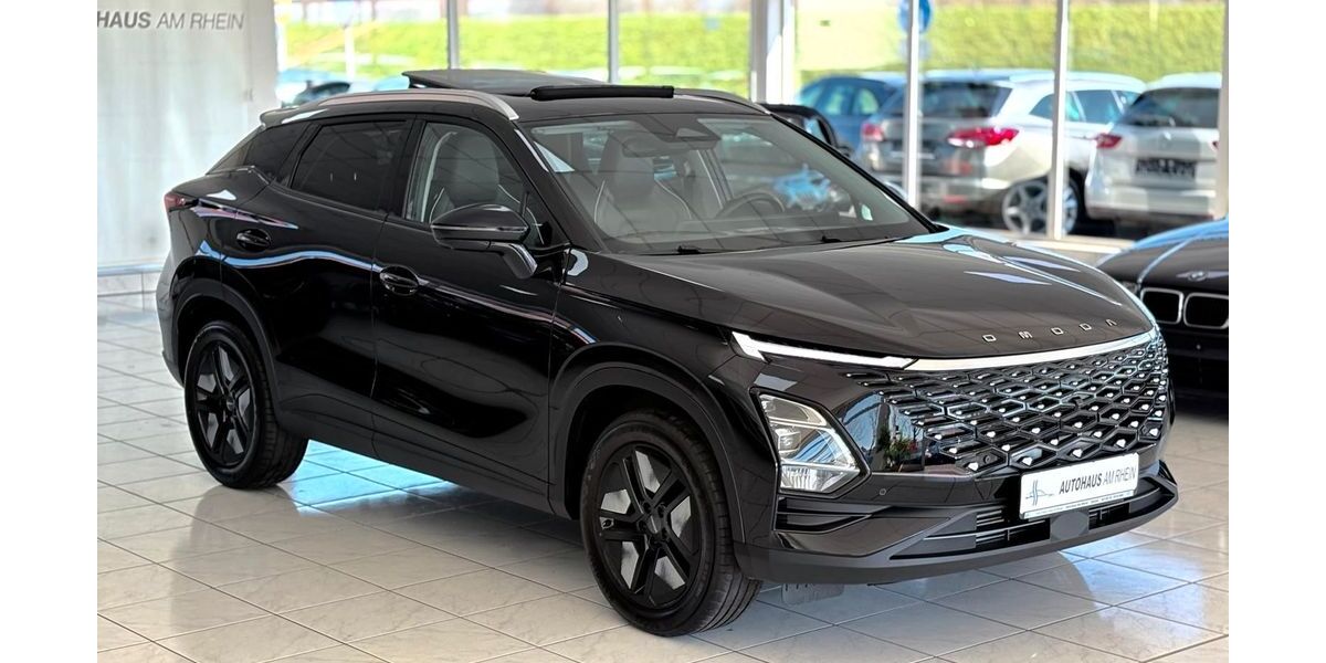  andere 5 EV 10.000 km 21.990 &euro; Speyer 67346