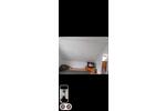 Doppelhaushälfte Ludwigshafen am Rhein Rheingönheim - 3 Zimmer, 96 m&sup2;, 1.400&euro; | Angebot:26228174