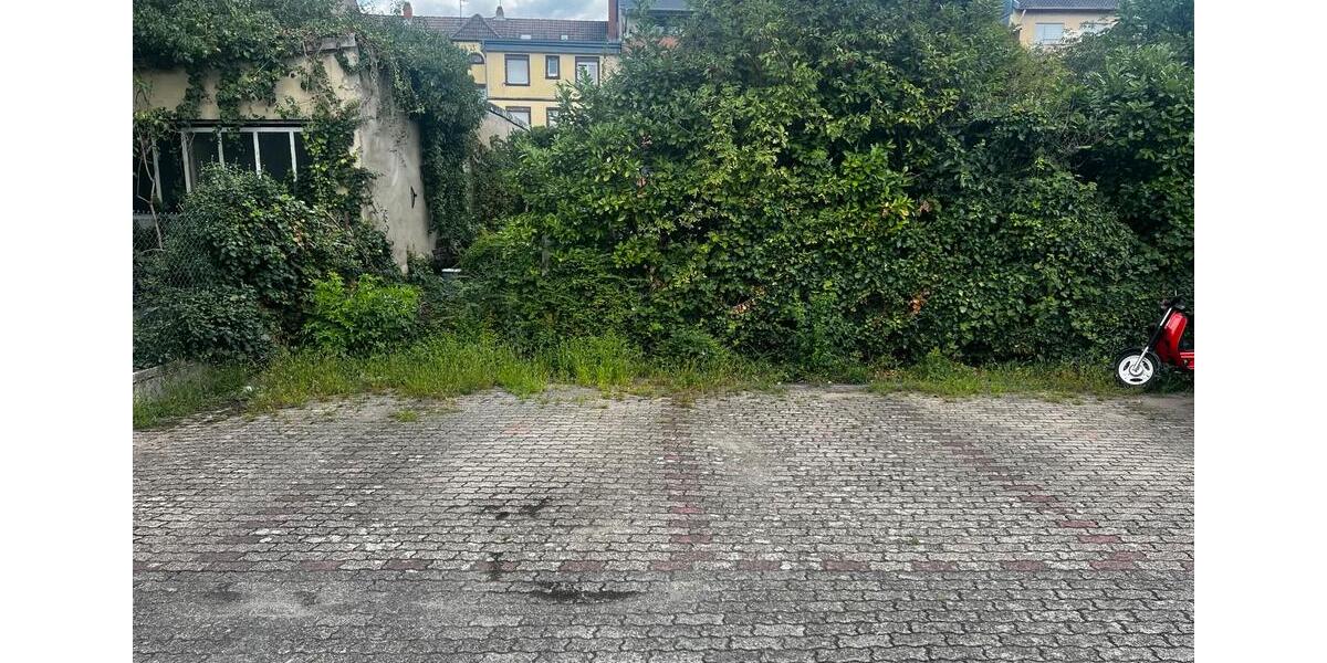 Etagenwohnung Ludwigshafen am Rhein Edigheim - 1 Zimmer, 34 m&sup2;, 800&euro; | Angebot:26380811