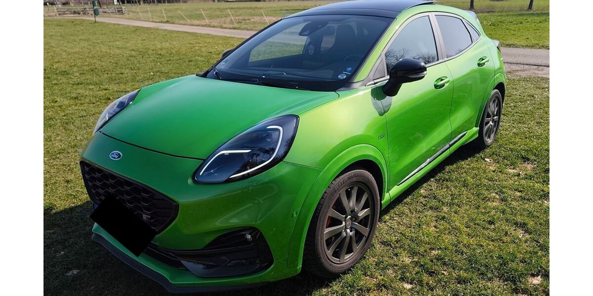 Ford Puma 14.214 km 26.250 &euro; Hambrücken 76707