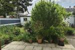 Reihenendhaus Mannheim Waldhof - 4 Zimmer, 117 m&sup2;, 475.000&euro; | Angebot:26890047