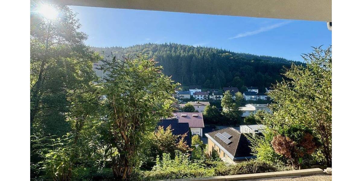 Terrassenwohnung Heiligkreuzsteinach - 2 Zimmer, 65 m&sup2;, 650&euro; | Angebot:26143408