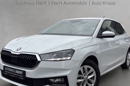 Skoda Fabia 46.400 km 16.890 &euro; Heidelberg 69123