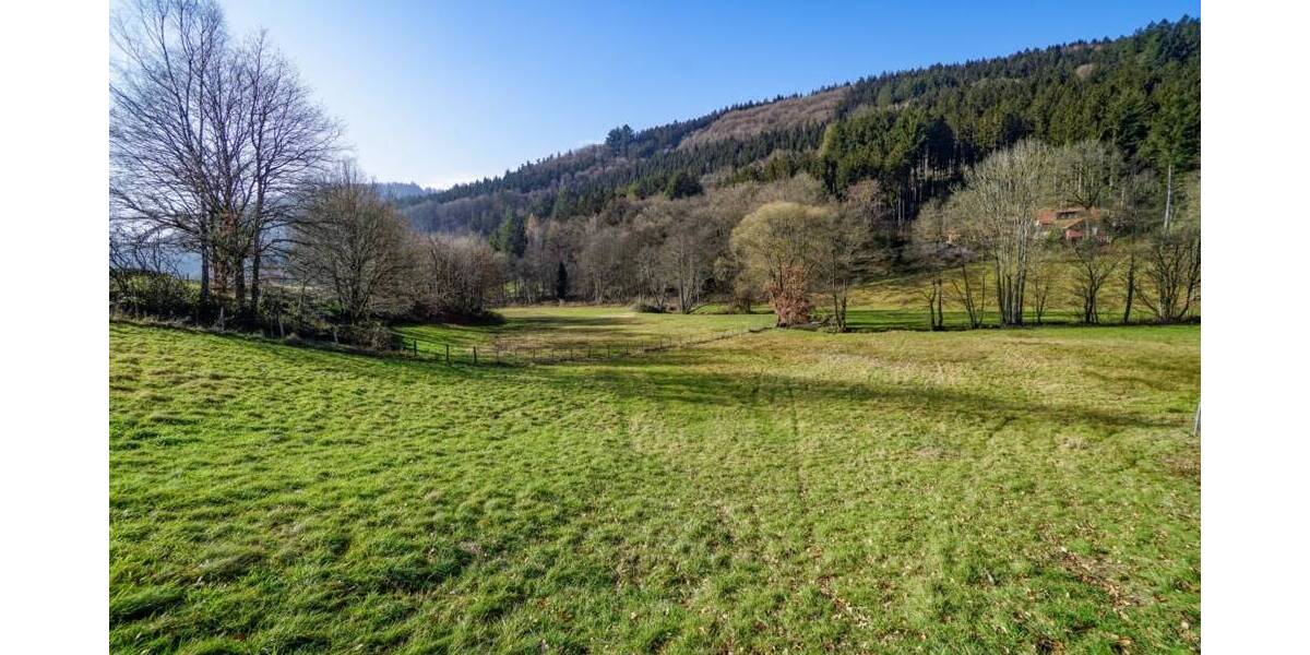 Gewerbeobjekt Wald-Michelbach / Unter-Schönmattenwag Unter-Schönmattenwag - 250.000&euro; | Angebot:23881254