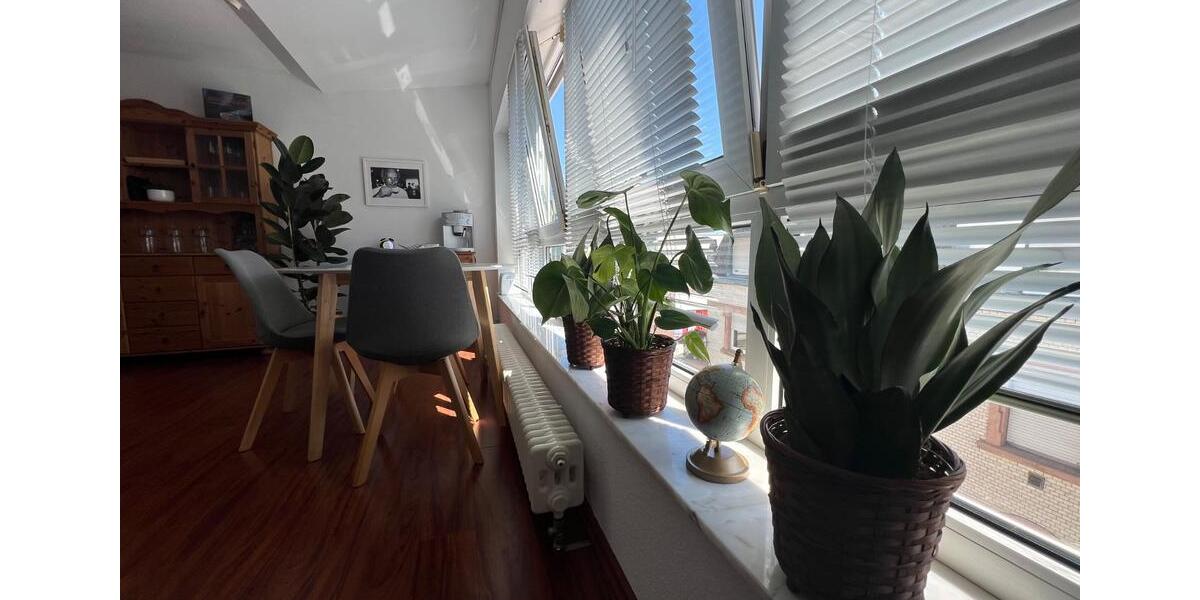 möbliertes Business Apartment MA-Neckarau | All-inclusive | April 1 zimmer