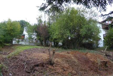 Grundstück zu verkaufen in Neckargemünd 400.000 € 622 m² zimmer