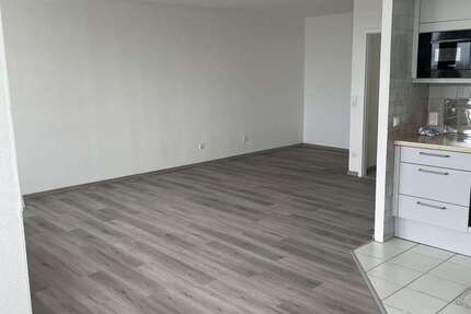 Wohnung Heidelberg Hasenleiser - 1 Zimmer, 56 m&sup2;, 850&euro; | Angebot:26928971