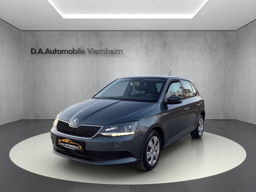 Skoda Fabia 171.000 km 6.990 € Viernheim 68519