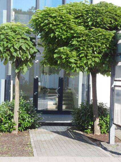 Gewerbeobjekt Heppenheim (Bergstraße) Heppenheim - 2 Zimmer, 794 m&sup2;, 1.690.000&euro; | Angebot:19302425