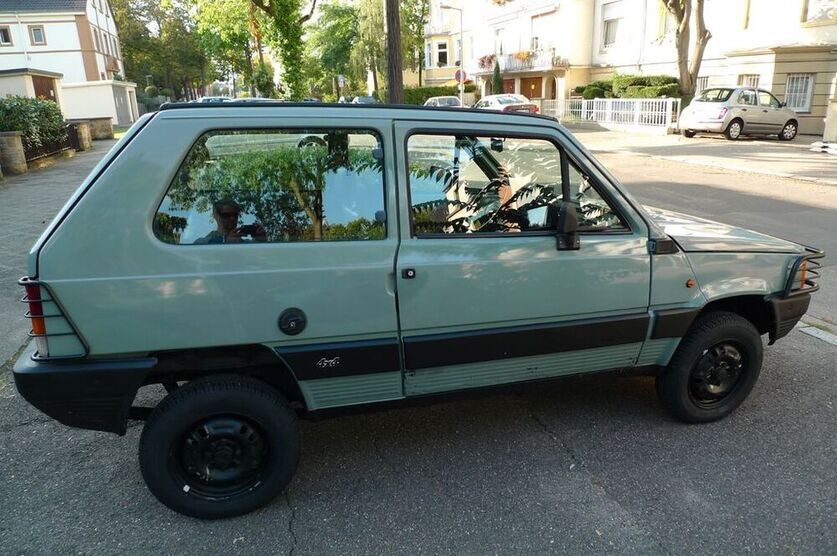 Panda