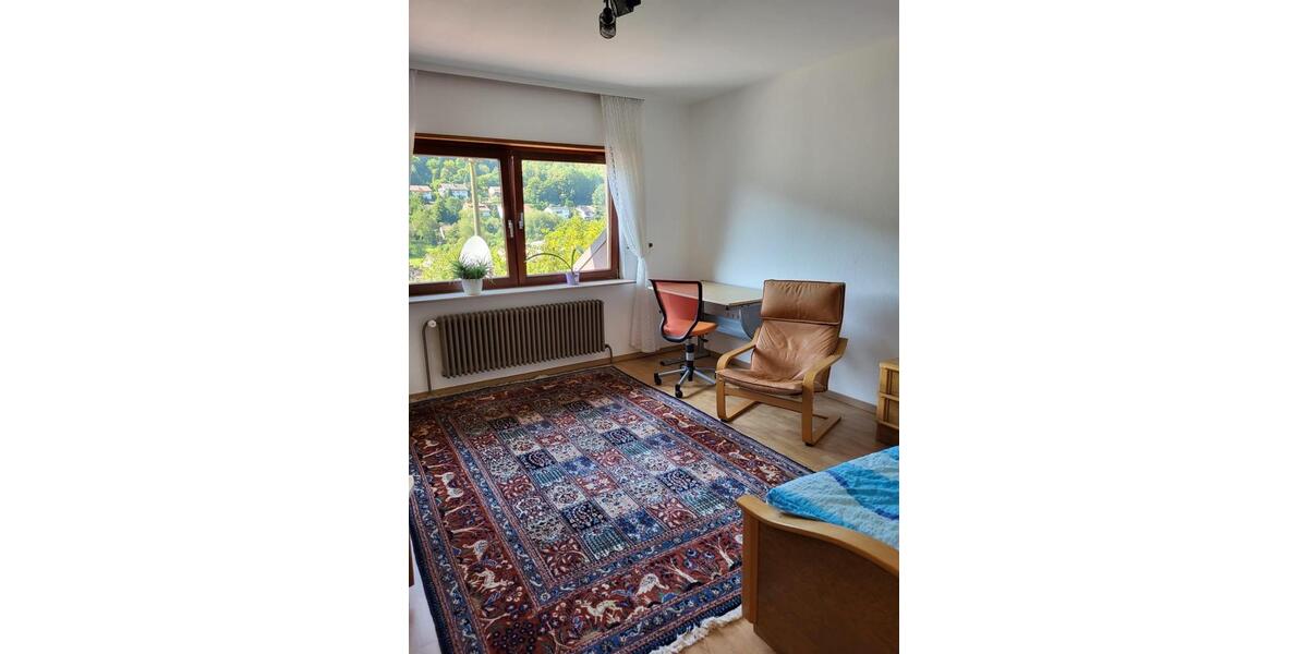 Etagenwohnung Heidelberg Peterstal - 2 Zimmer, 50 m&sup2;, 590&euro; | Angebot:25239747